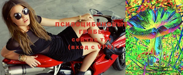 мдпв Лихославль