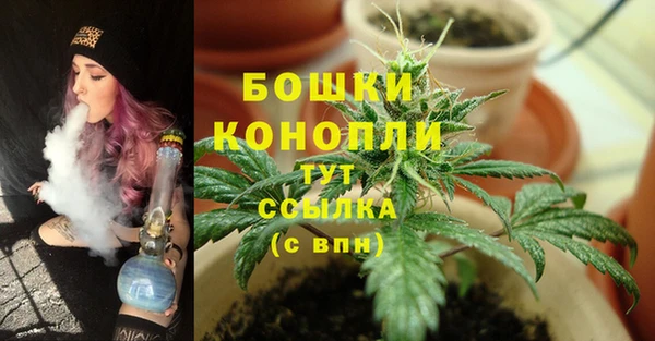 сатива Кулебаки